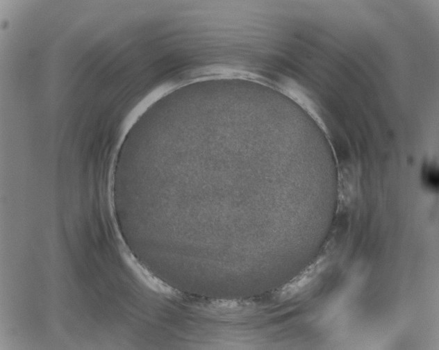 X0000062171098200512161245