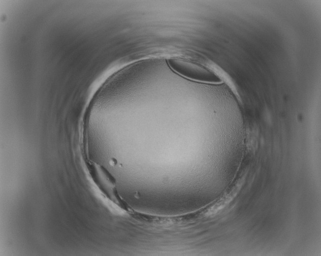 X0000062171099200512161245