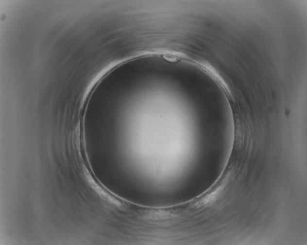 X0000062171100200512161245