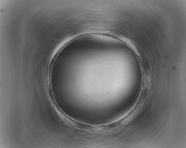 X0000062171101200512161245