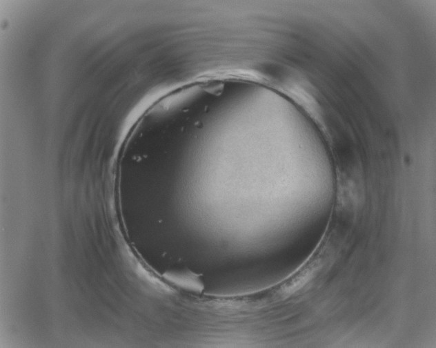 X0000062171102200512161245