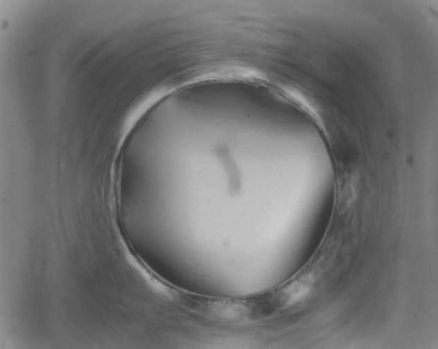 X0000062171103200512161245