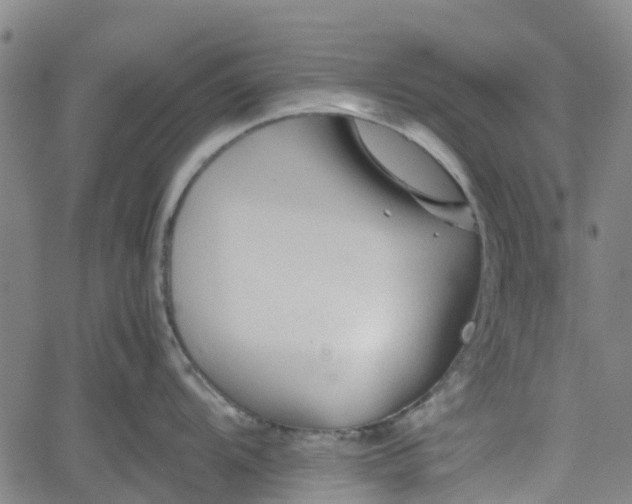 X0000062171104200512161245