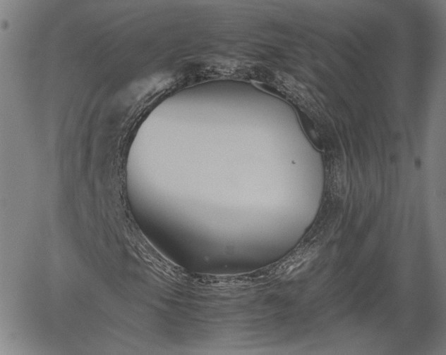 X0000062171105200512161244