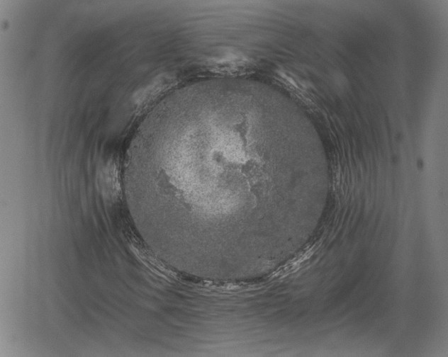 X0000062171106200512161244