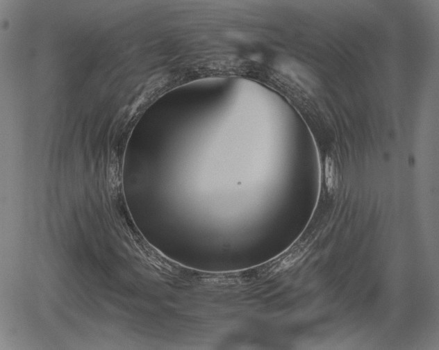 X0000062171107200512161244