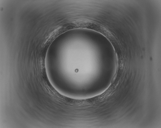 X0000062171108200512161244