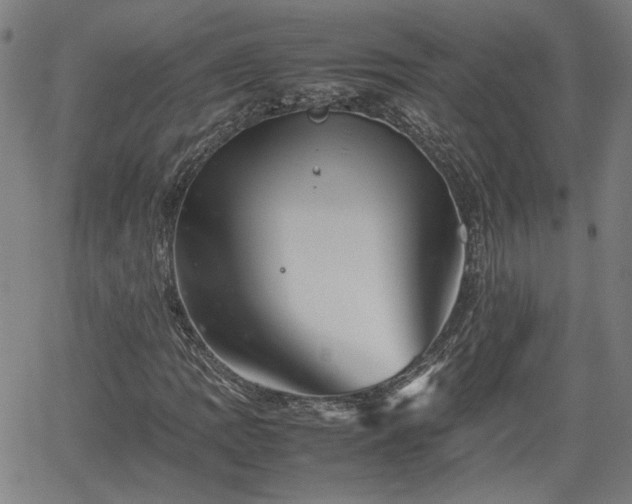 X0000062171109200512161244