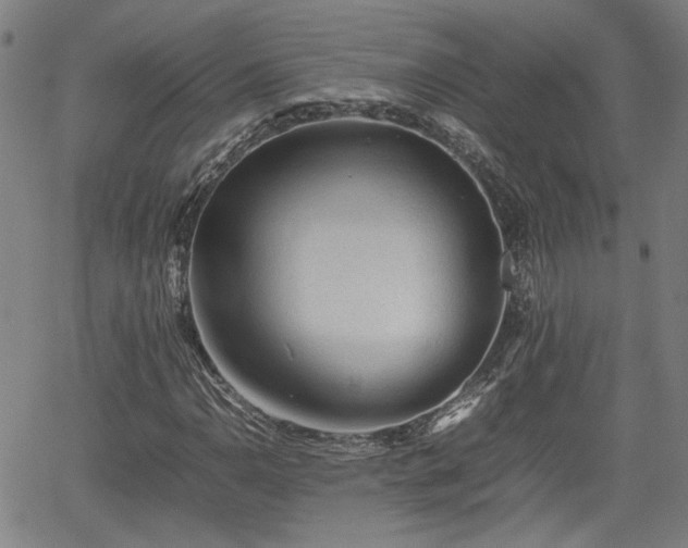 X0000062171110200512161244