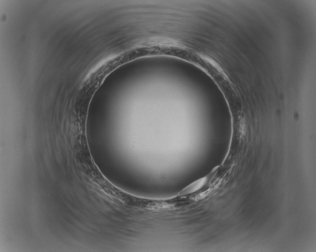 X0000062171112200512161244