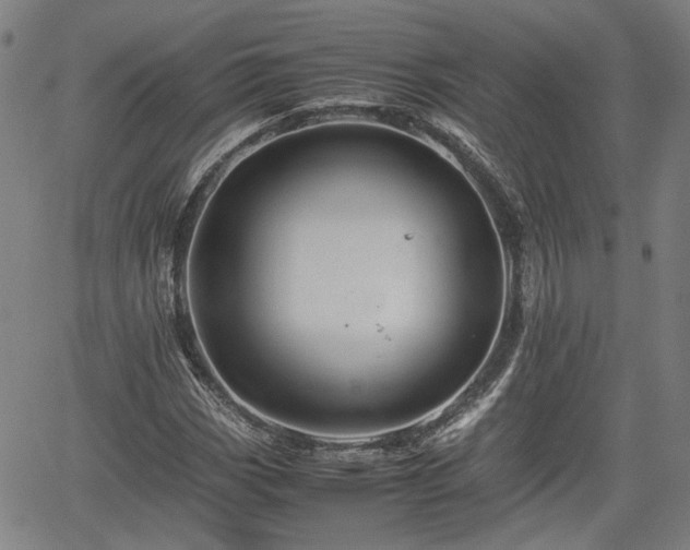 X0000062171113200512161244