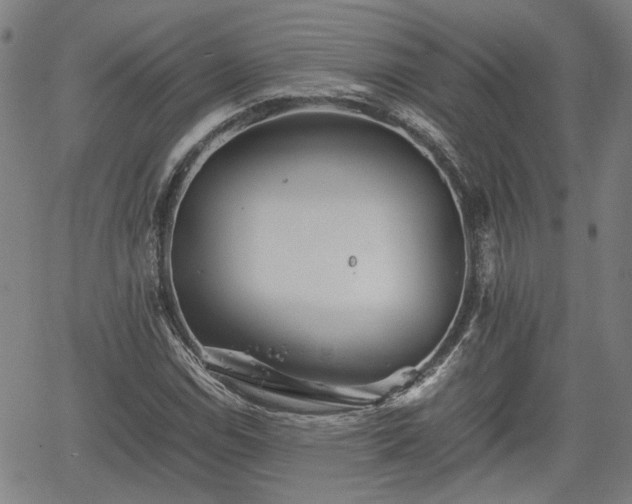 X0000062171114200512161244