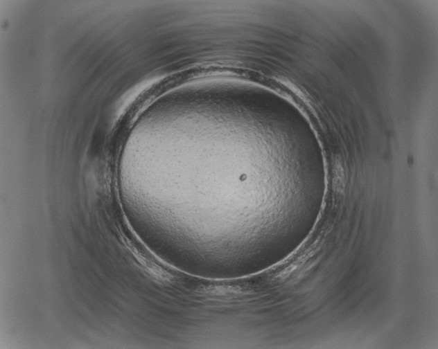 X0000062171115200512161244