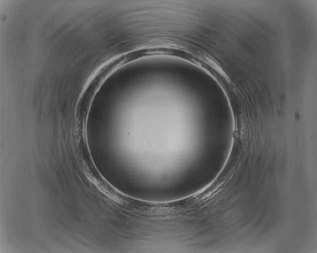 X0000062171116200512161244