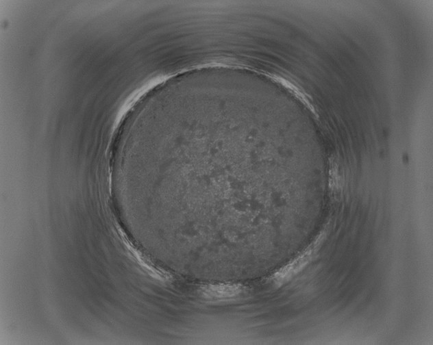 X0000062171117200512161244