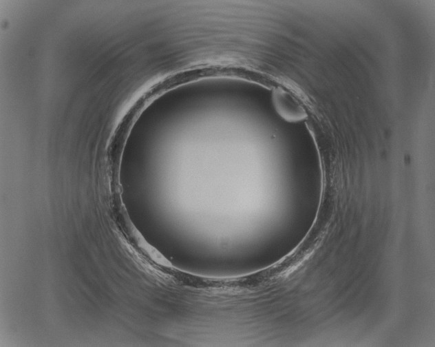 X0000062171118200512161244