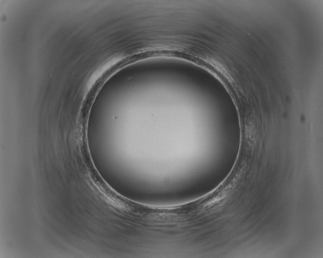 X0000062171119200512161244