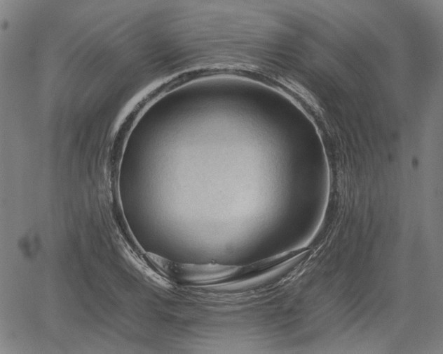 X0000062171120200512161244