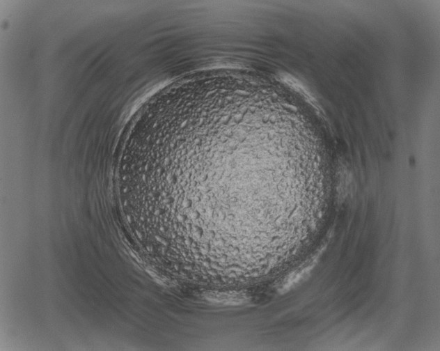 X0000062171121200512161244