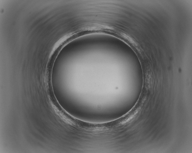 X0000062171122200512161244