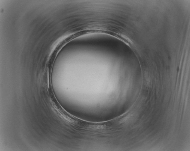 X0000062171123200512161244