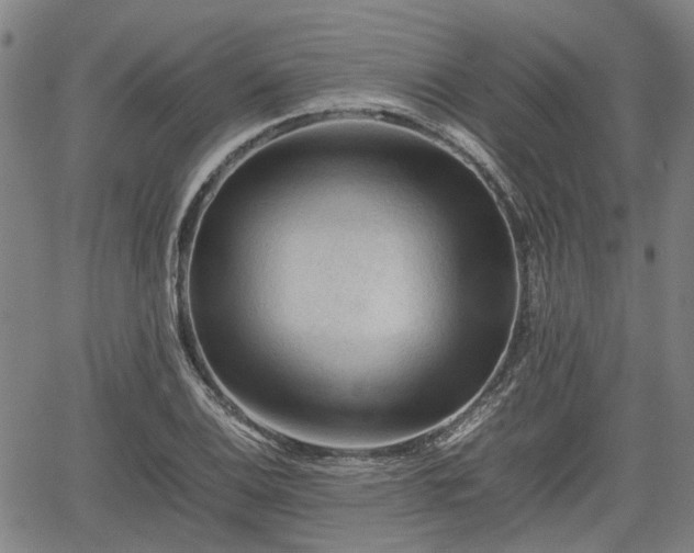 X0000062171124200512161244