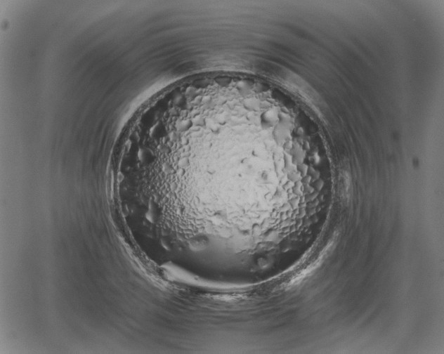 X0000062171125200512161244