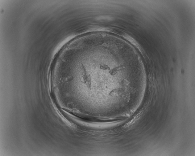 X0000062171127200512161244