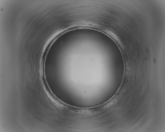 X0000062171128200512161244