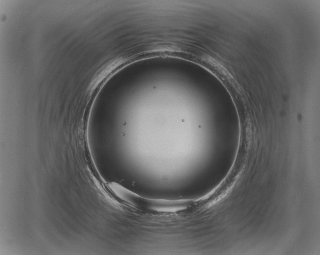 X0000062171129200512161244