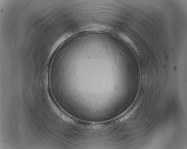 X0000062171130200512161244