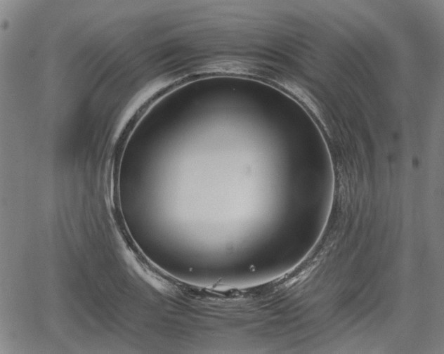 X0000062171131200512161244