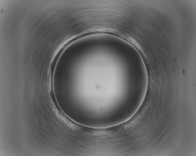 X0000062171132200512161244