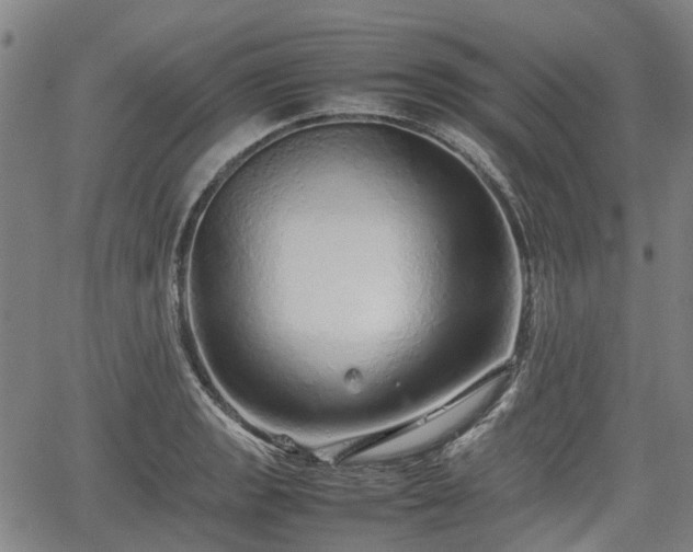 X0000062171133200512161244