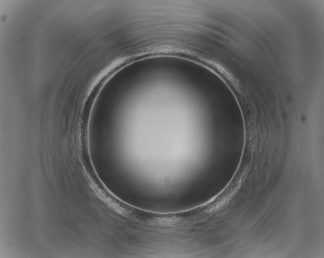 X0000062171134200512161244