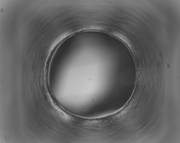 X0000062171135200512161244