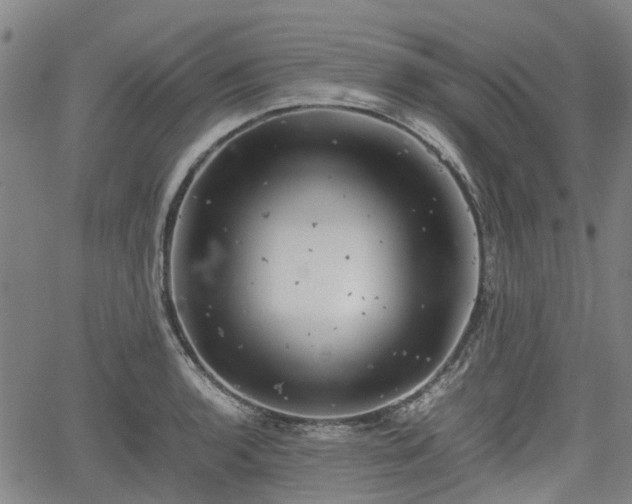 X0000062171136200512161244