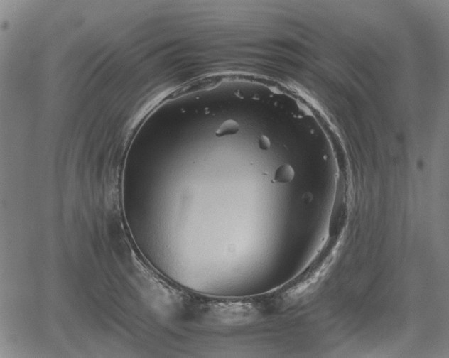 X0000062171137200512161244