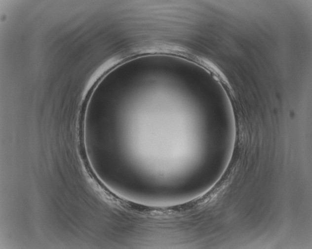 X0000062171138200512161244