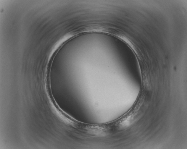 X0000062171139200512161244