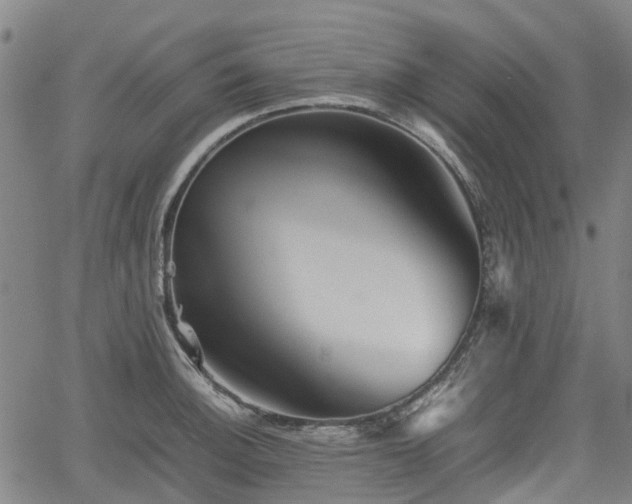 X0000062171140200512161244