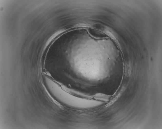 X0000062171141200512161244