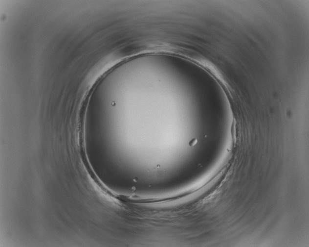 X0000062171143200512161244