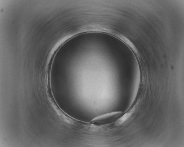 X0000062171144200512161244