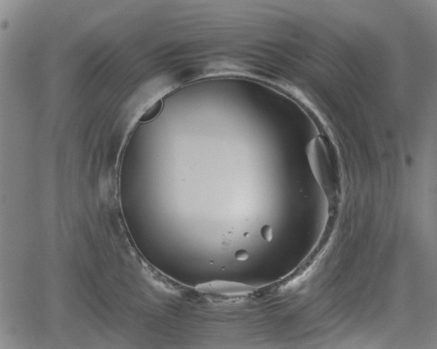 X0000062171145200512161244