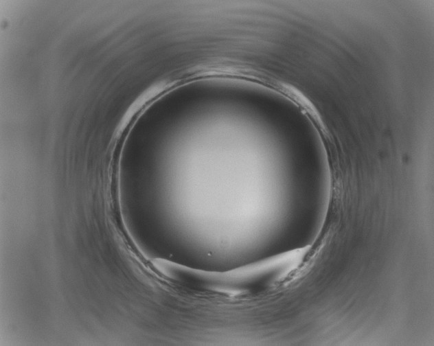 X0000062171146200512161244