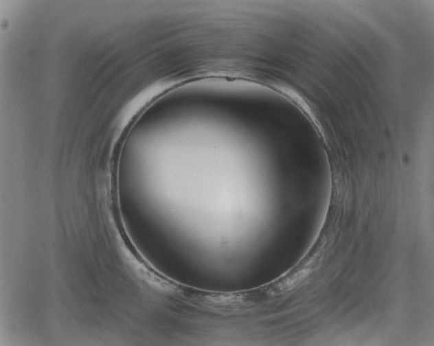 X0000062171147200512161244