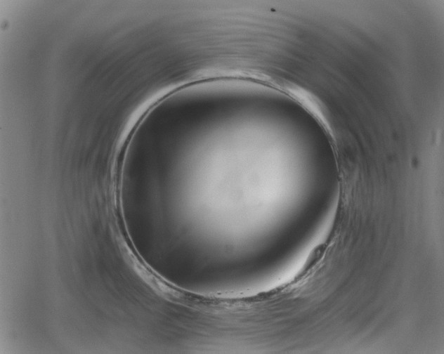 X0000062171148200512161244