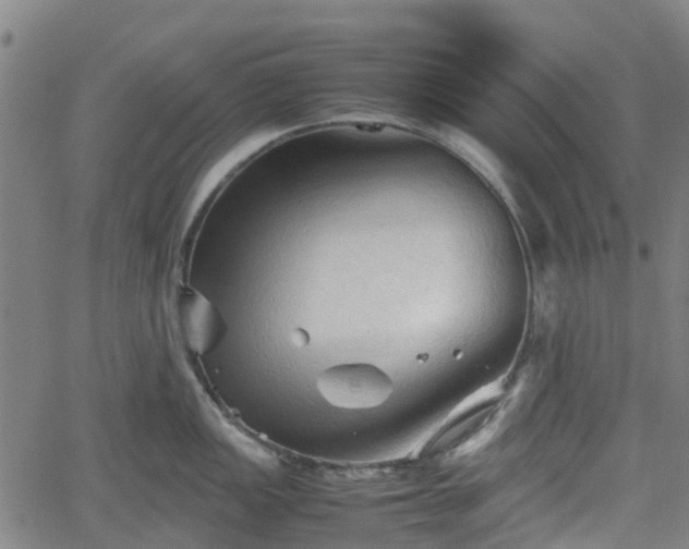 X0000062171149200512161245