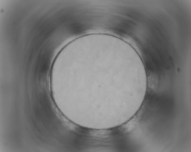 X0000062171150200512161245